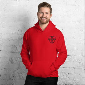 alobien embroidery Unisex Hoodie 7 Bright colors to choose